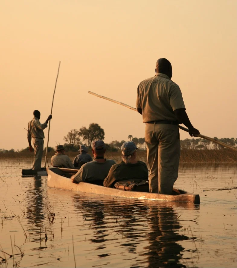 Timeless Africa Safaris image
