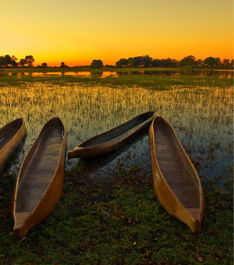 Timeless Africa Safaris image