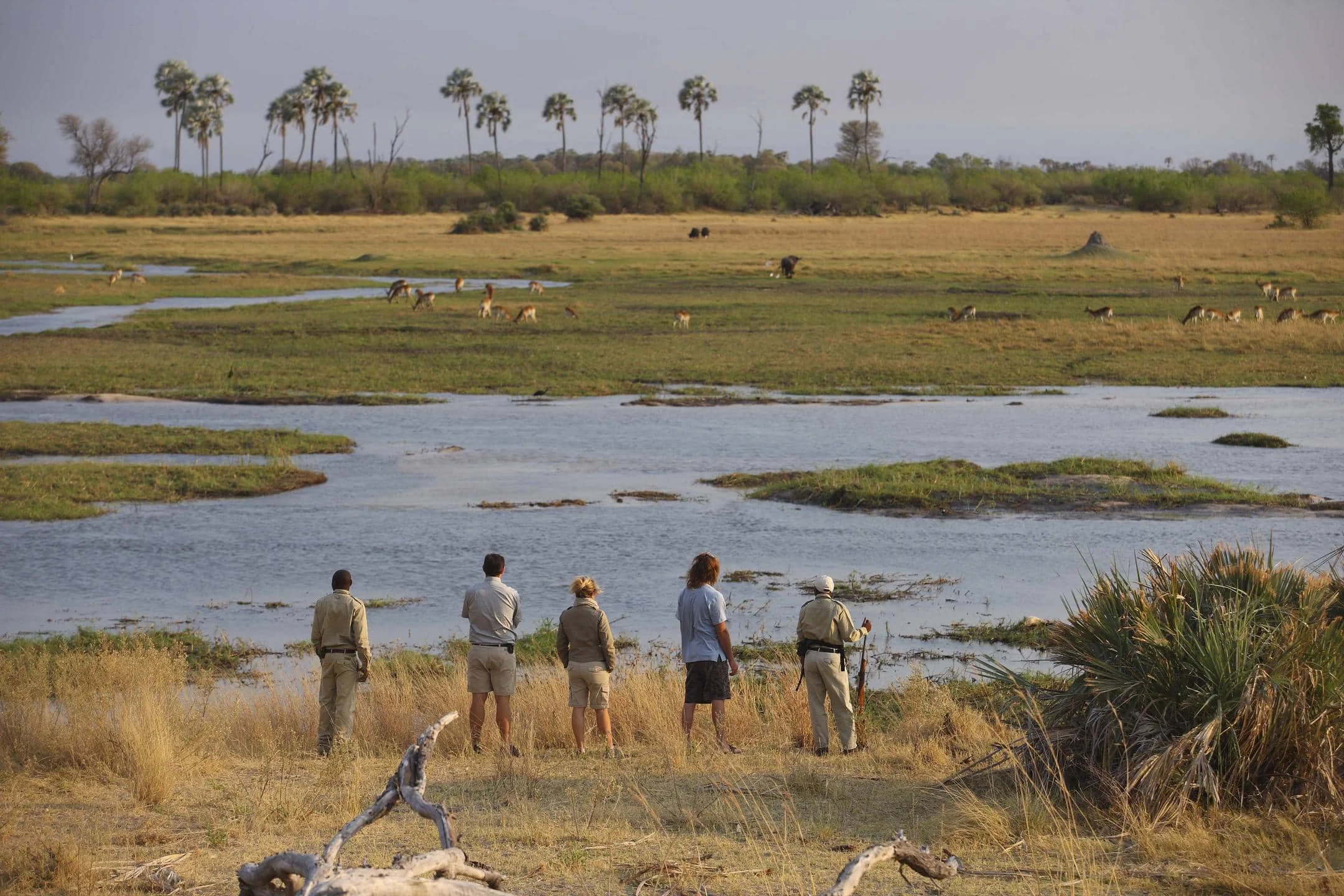Timeless Africa Safaris image