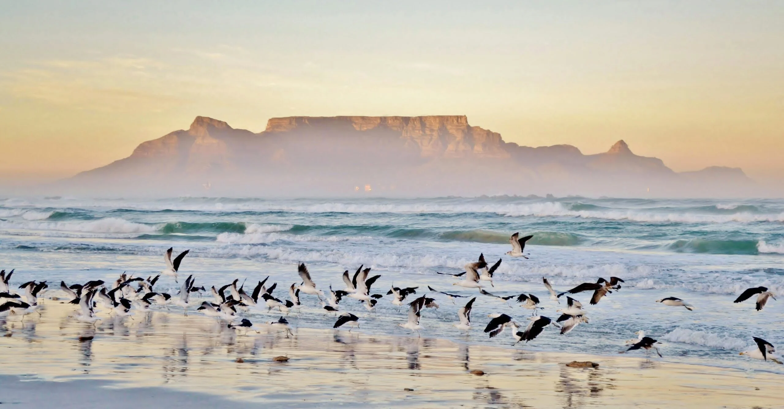 Timeless Africa Safaris image