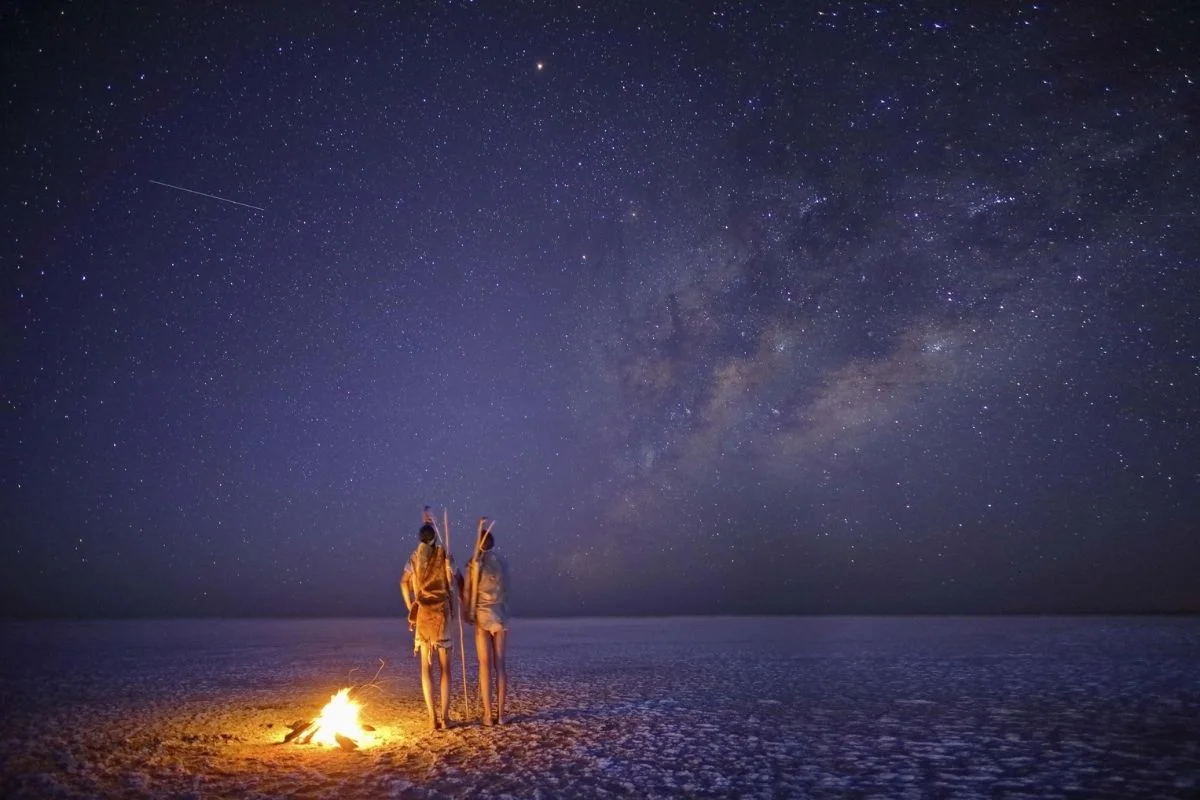 Timeless Africa Safaris image