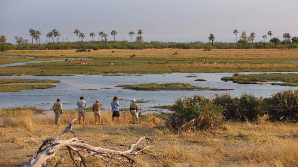 Timeless Africa Safaris image