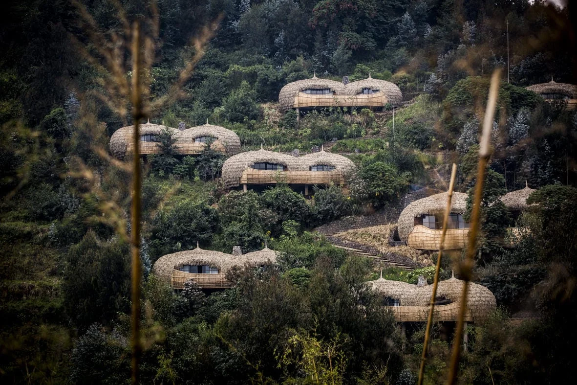 Timeless Africa Safaris image