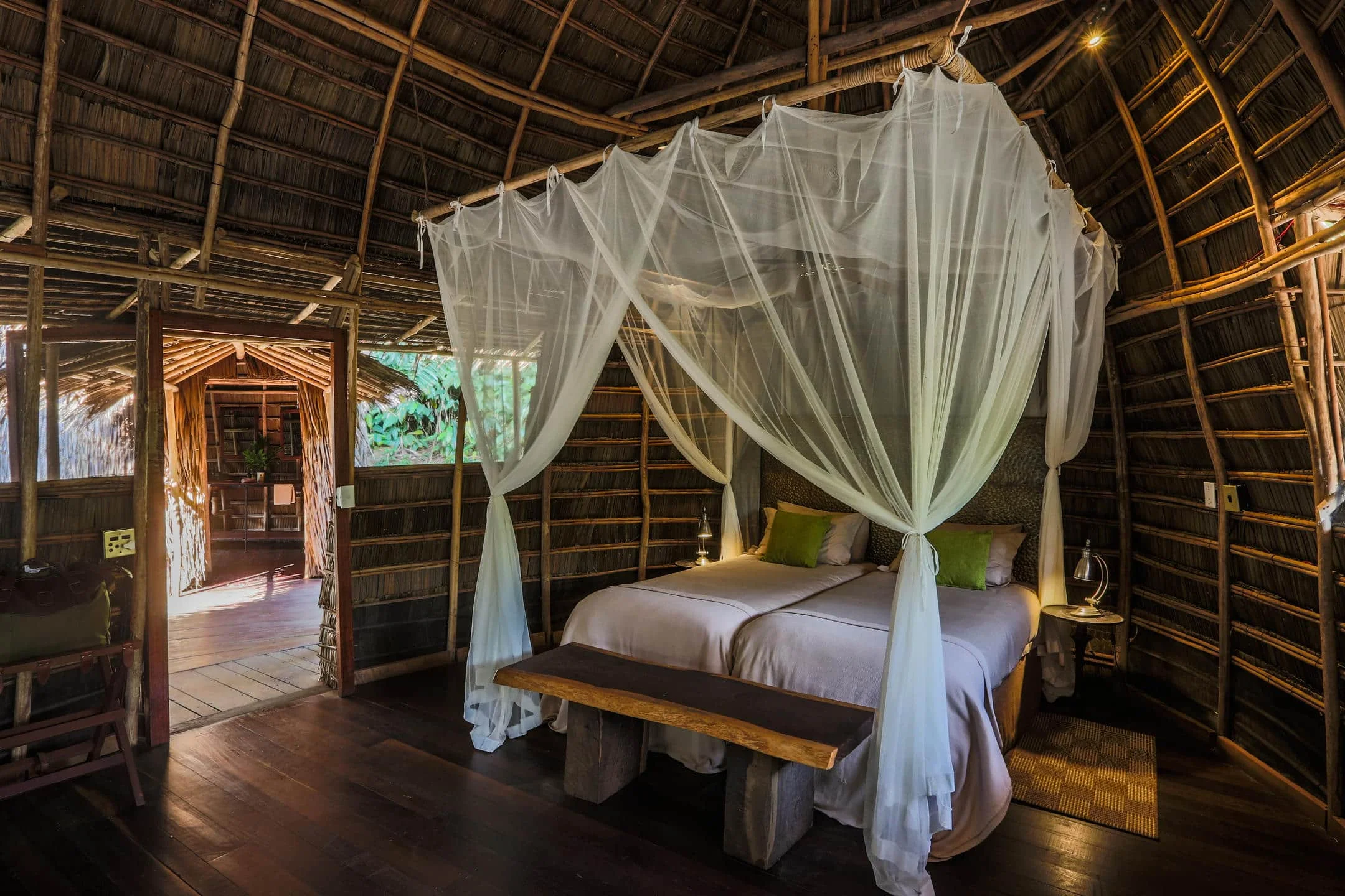 Timeless Africa Safaris image