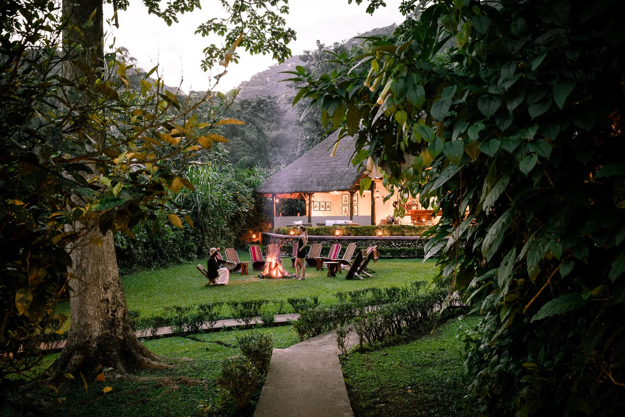 Timeless Africa Safaris image