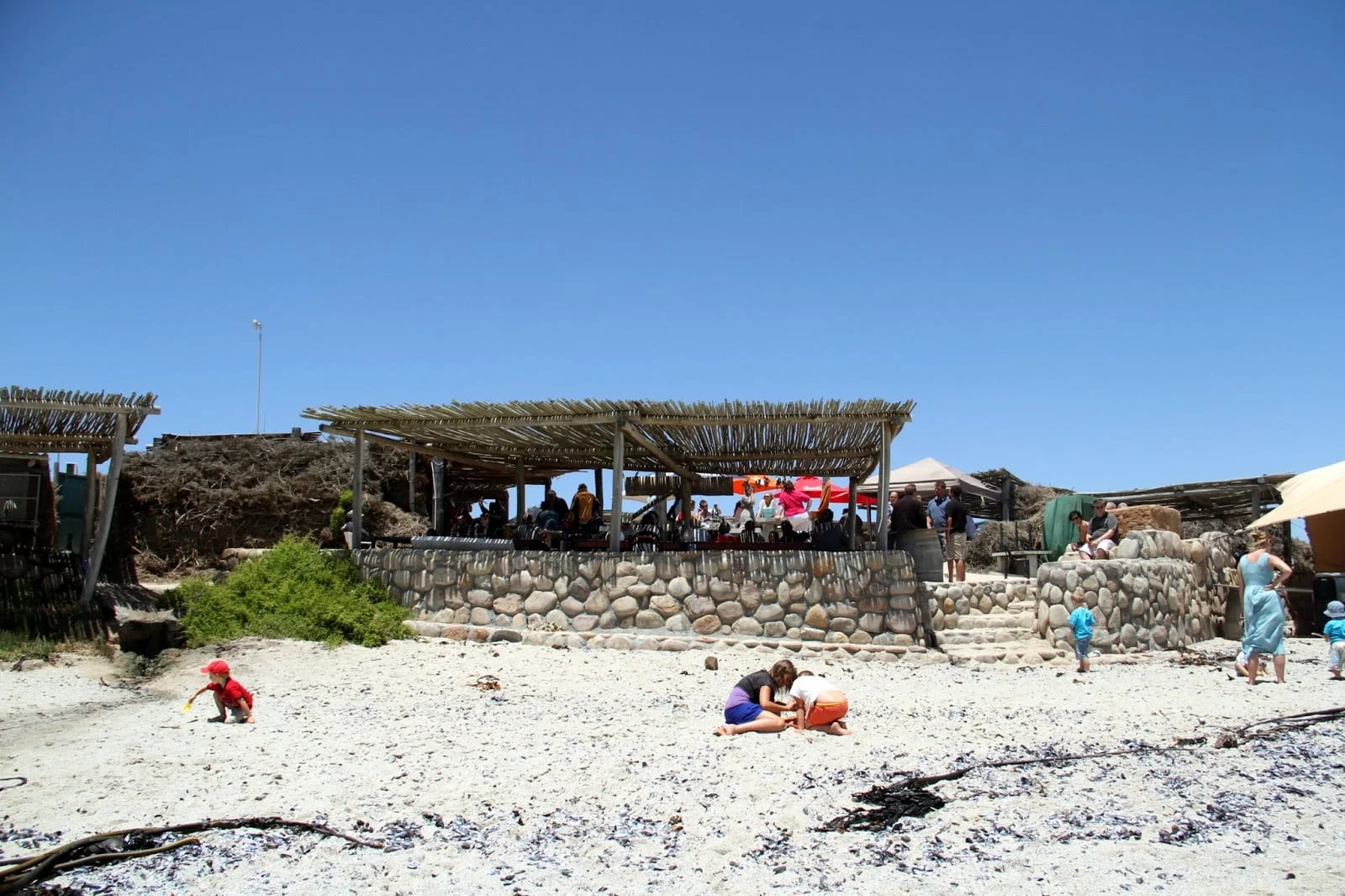 Timeless Africa Safaris image