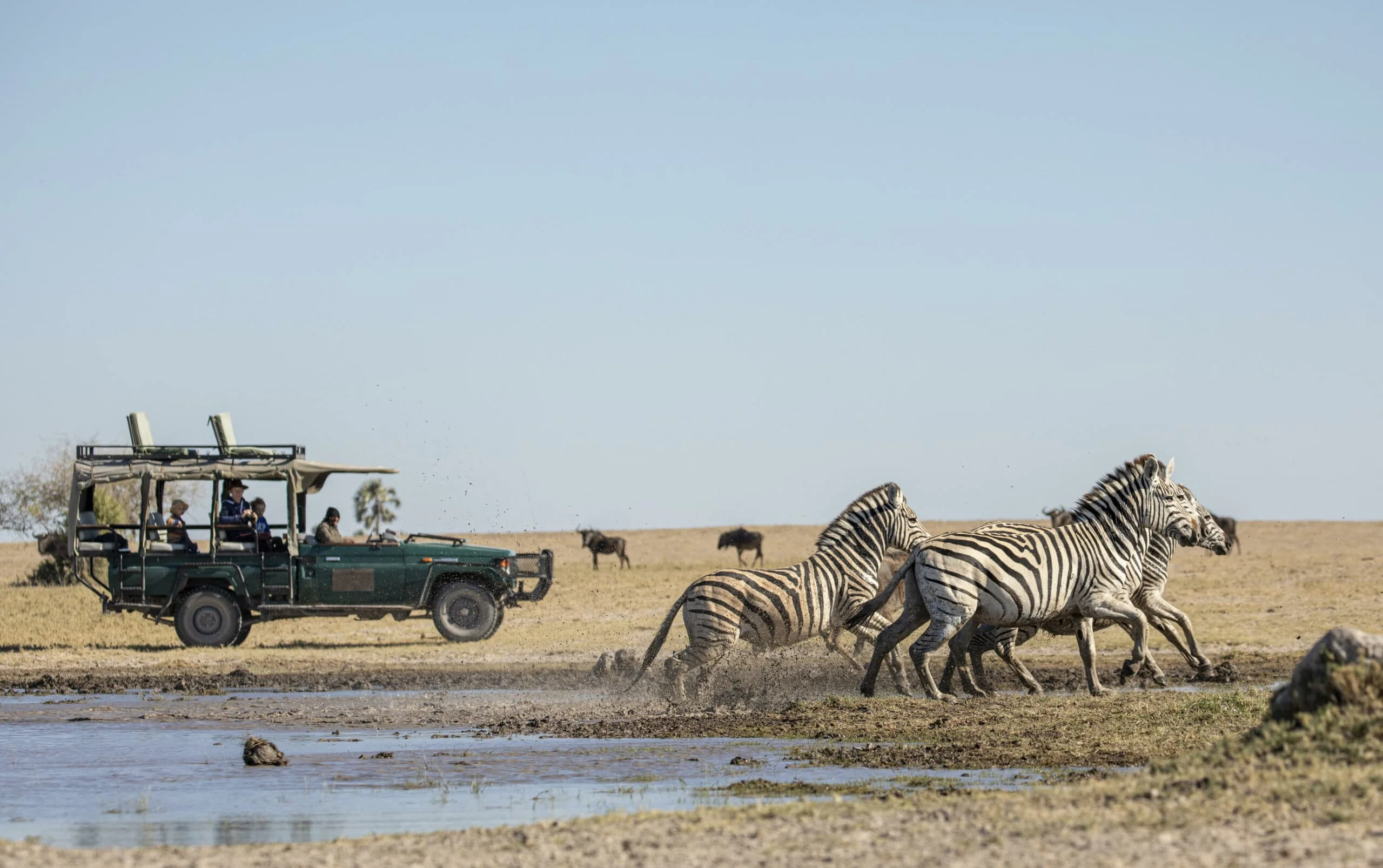 Timeless Africa Safaris image