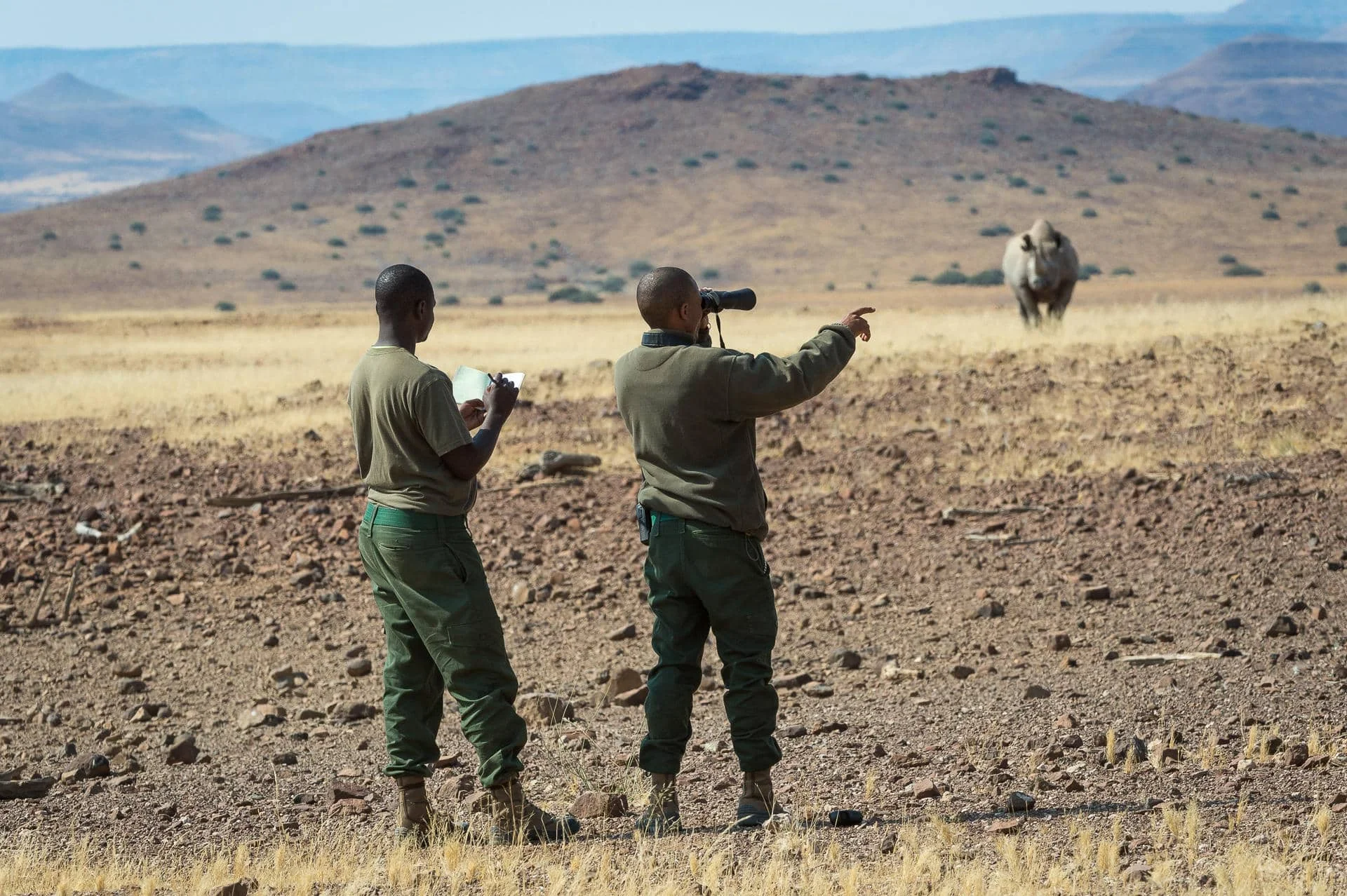 Timeless Africa Safaris image