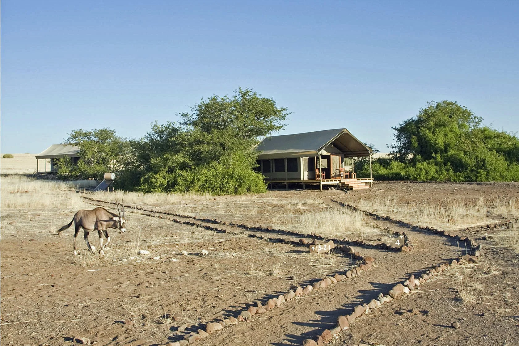 Timeless Africa Safaris image
