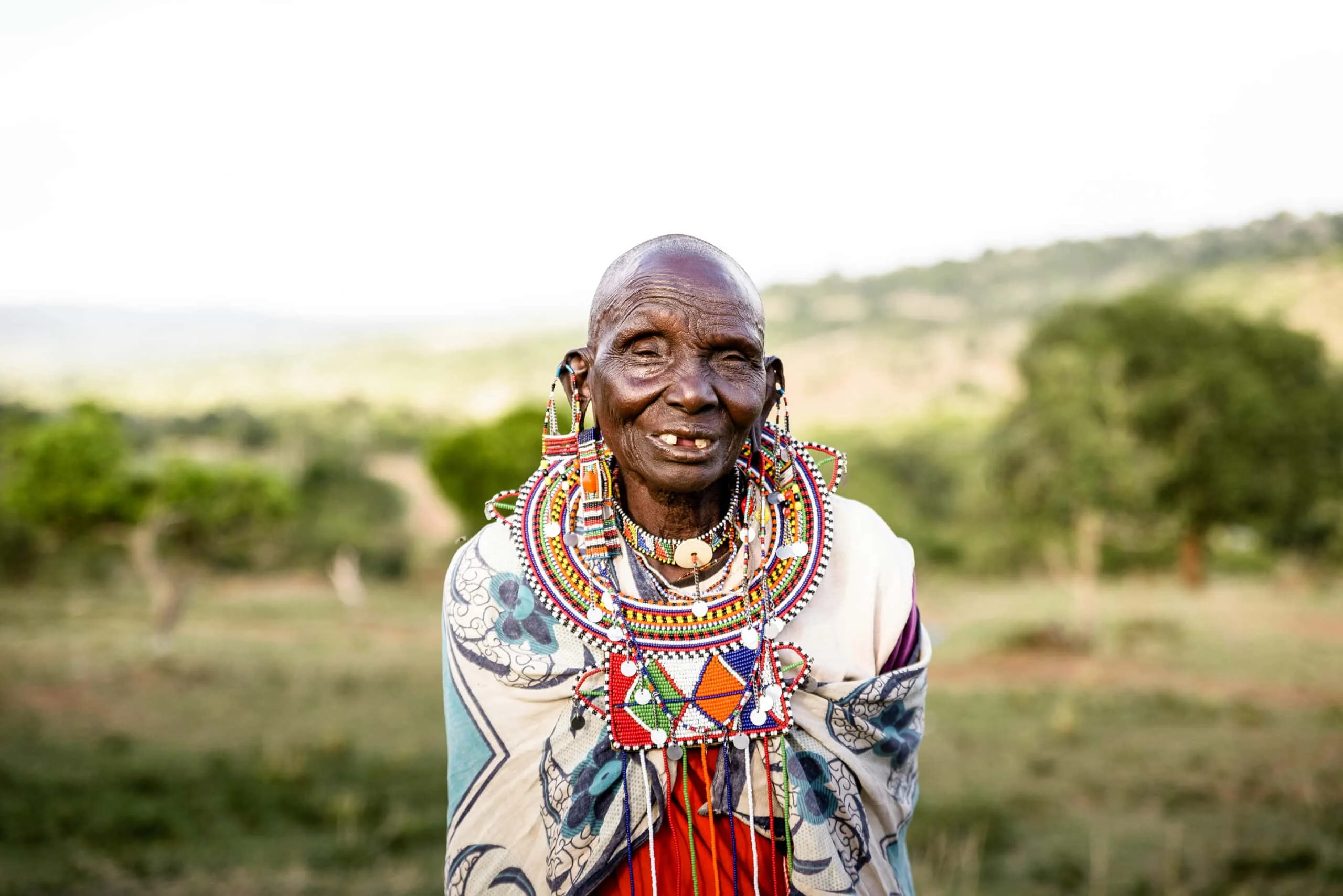 Timeless Africa Safaris image