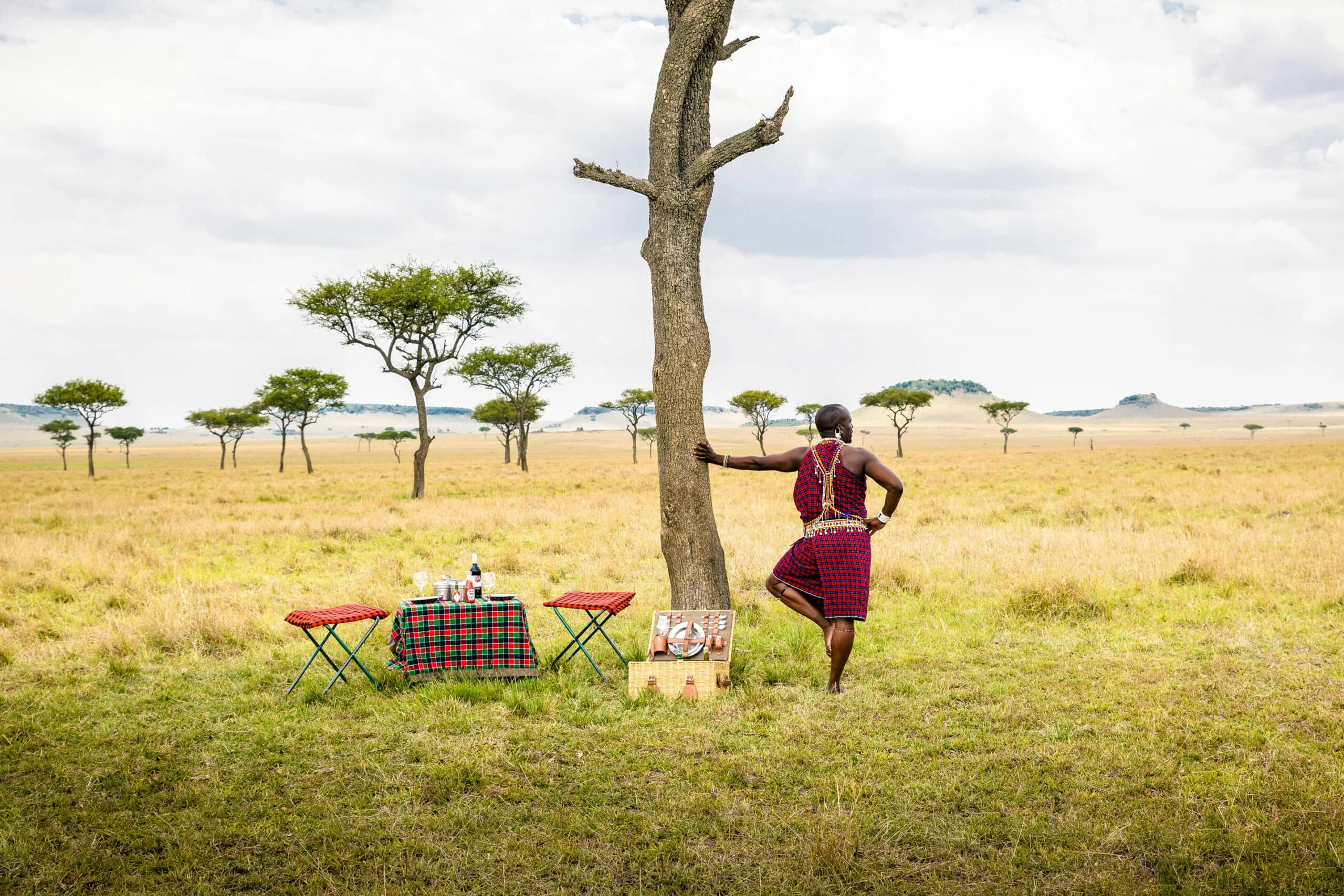 Timeless Africa Safaris image