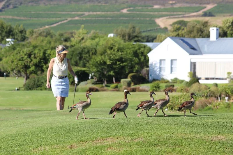Timeless Africa Safaris image