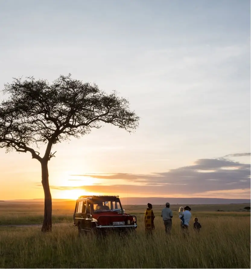 Timeless Africa Safaris image