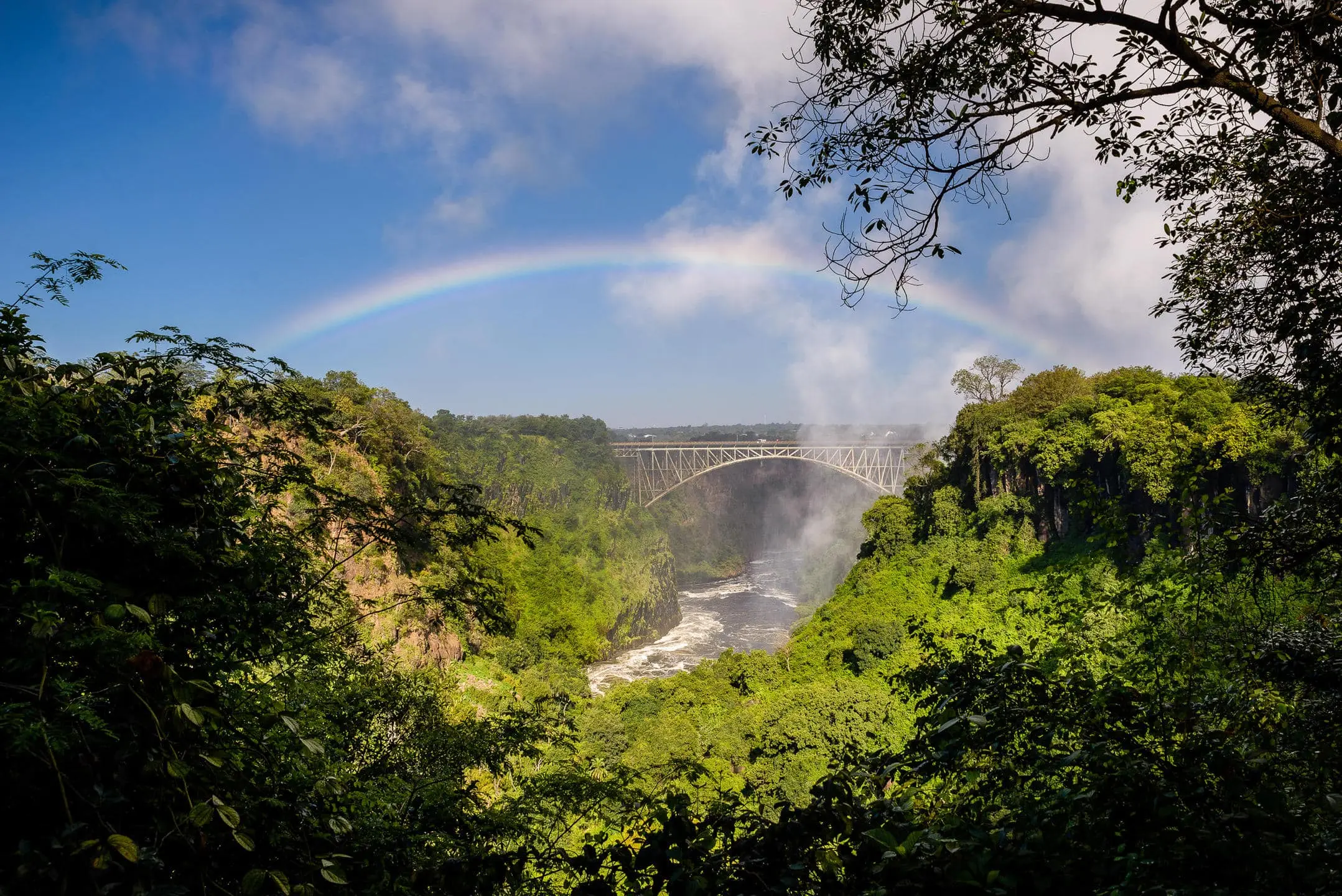 Timeless Africa Safaris image