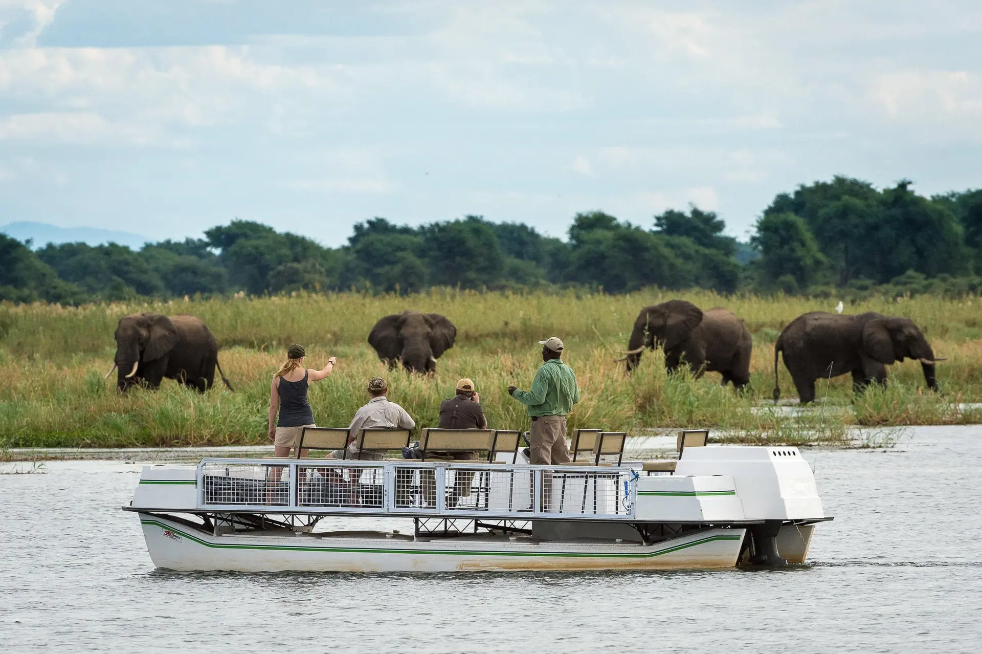 Timeless Africa Safaris image