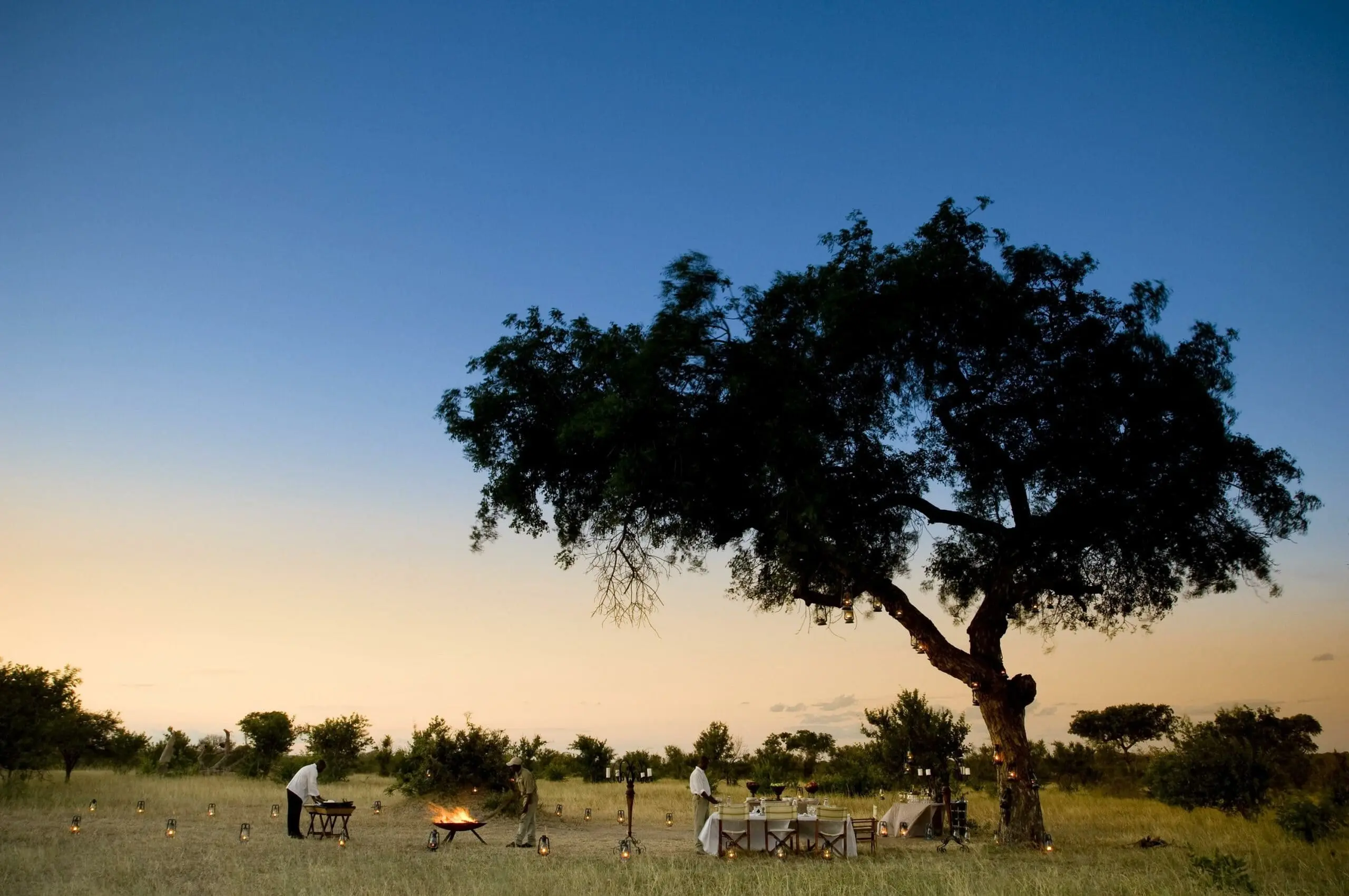 Timeless Africa Safaris image