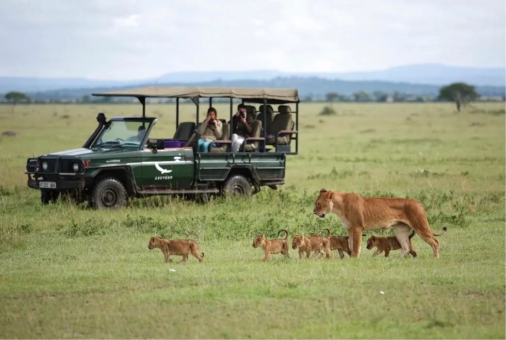 Timeless Africa Safaris image