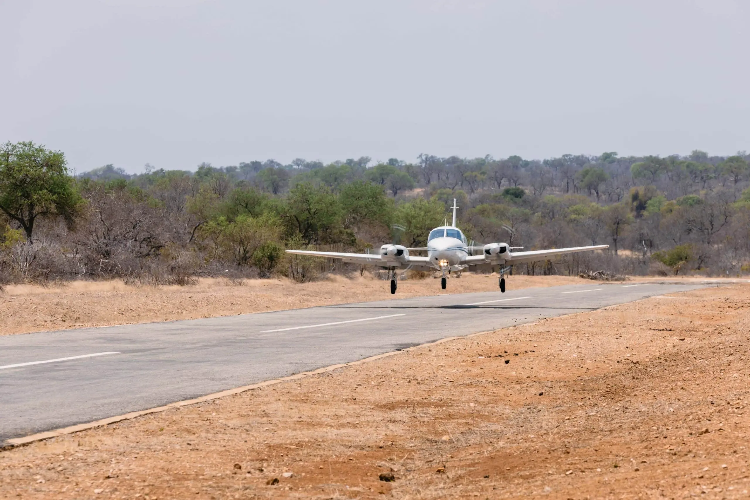 Timeless Africa Safaris image