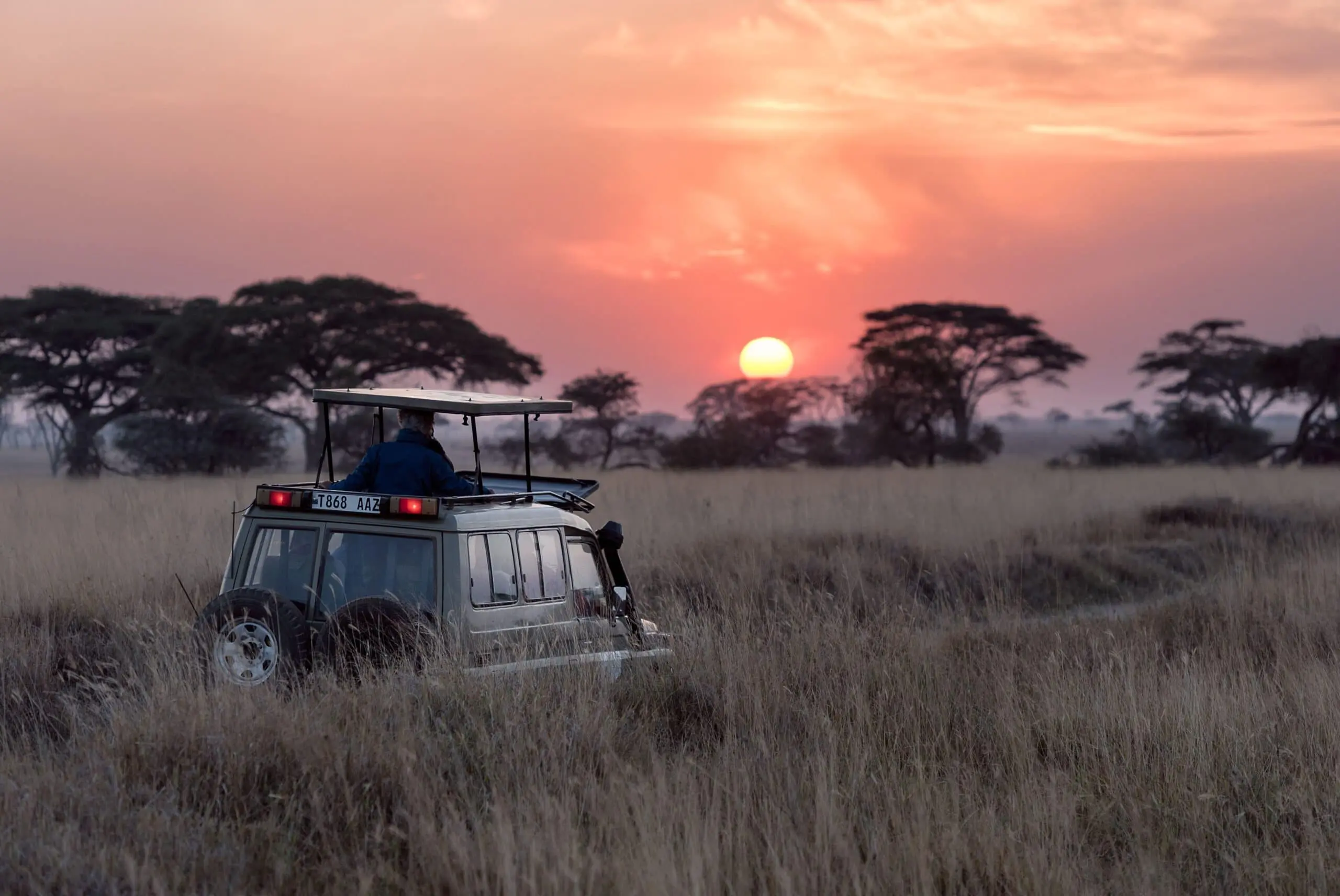Timeless Africa Safaris image
