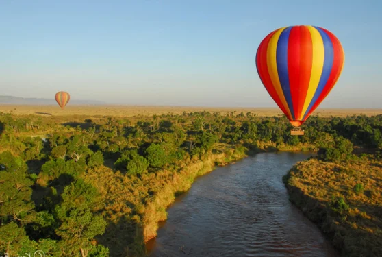 Timeless Africa Safaris image