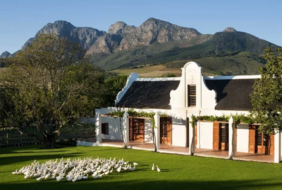 Timeless Africa Safaris image