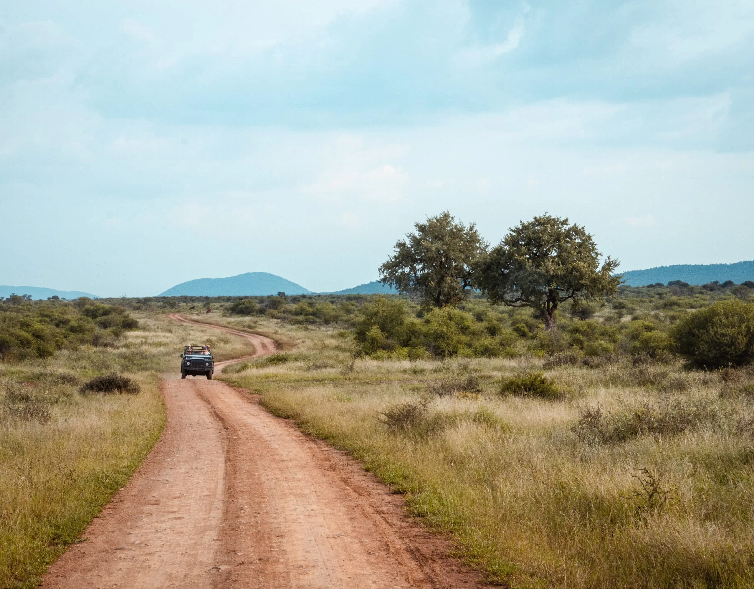Timeless Africa Safaris image