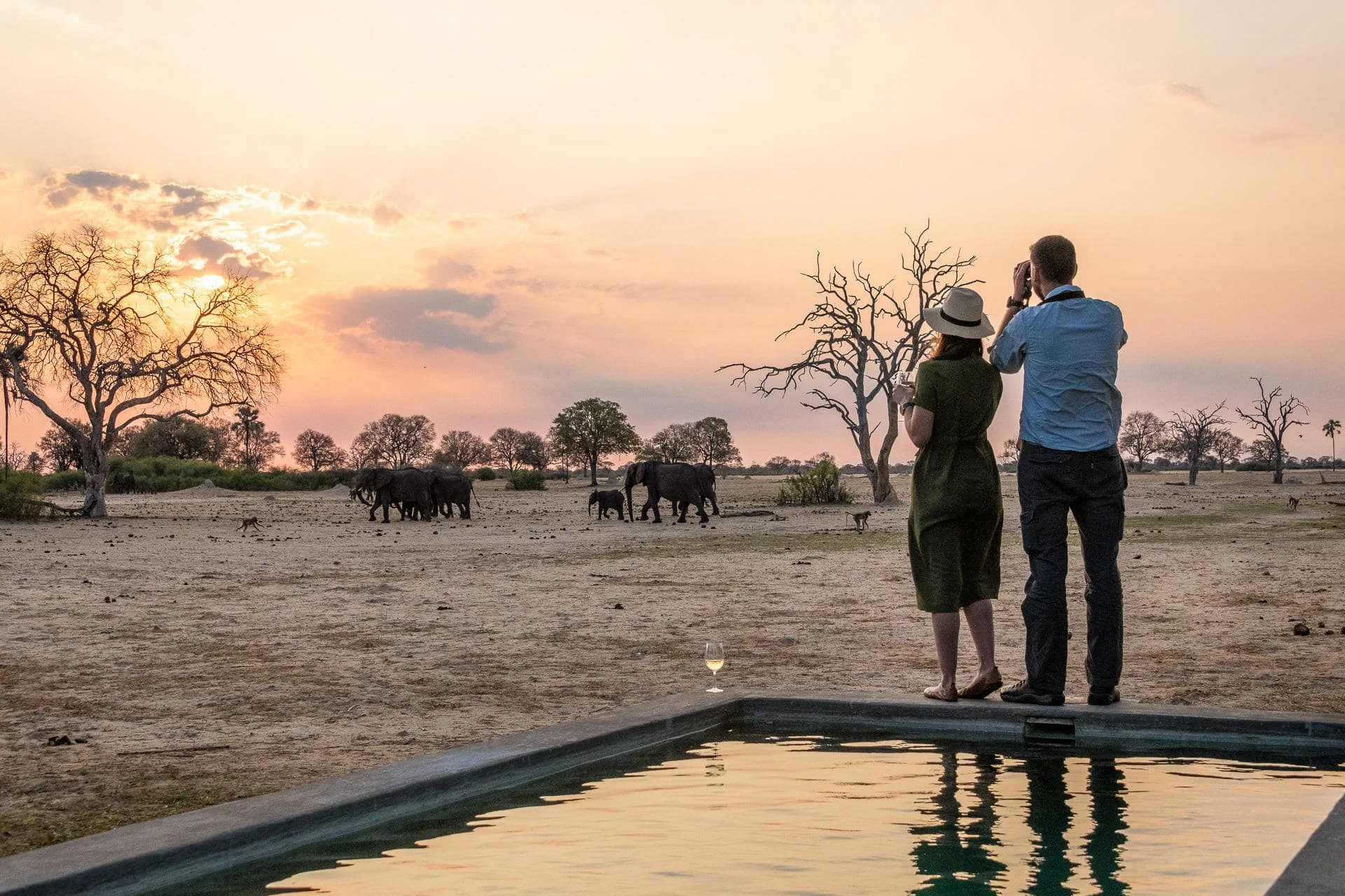 Timeless Africa Safaris image