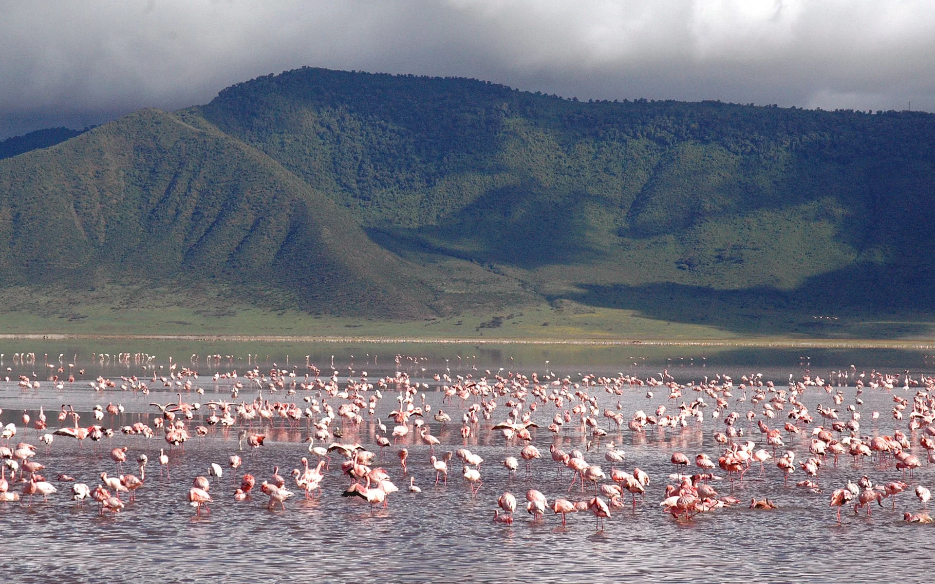 Timeless Africa Safaris image