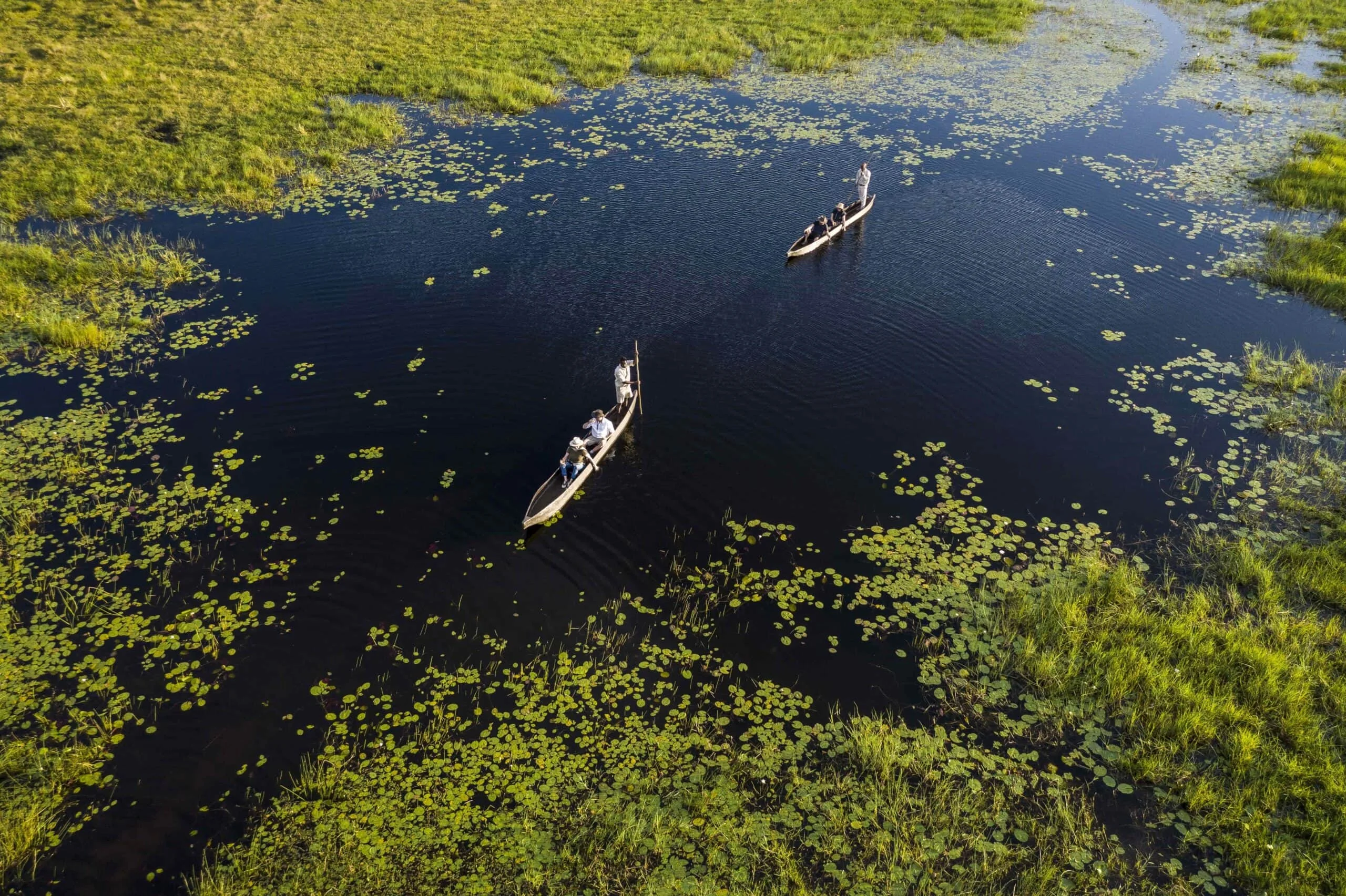 Timeless Africa Safaris image