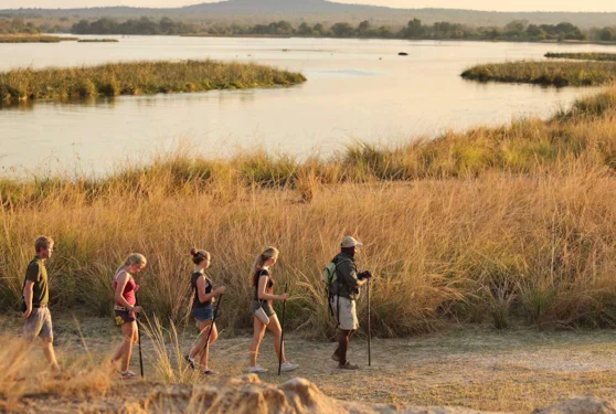 Timeless Africa Safaris image
