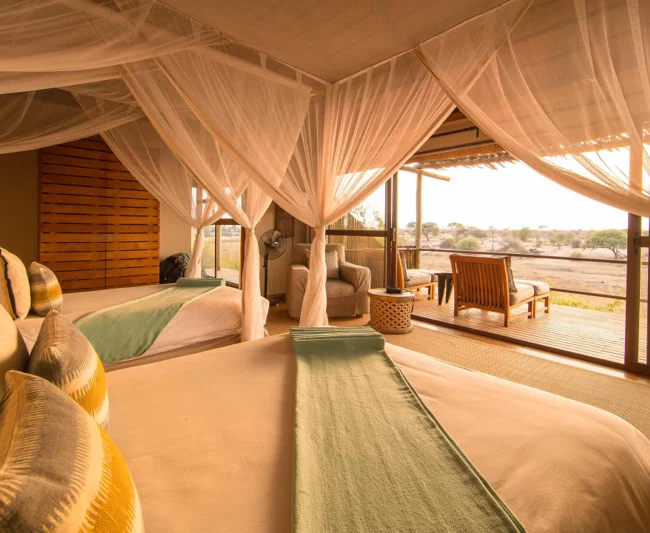 Timeless Africa Safaris image