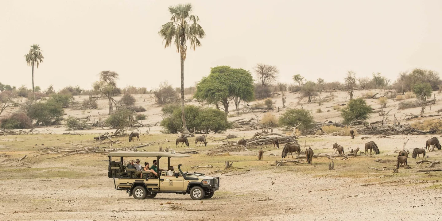 Timeless Africa Safaris image