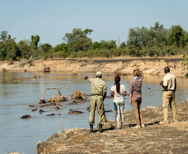 Timeless Africa Safaris image