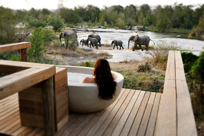 Timeless Africa Safaris image