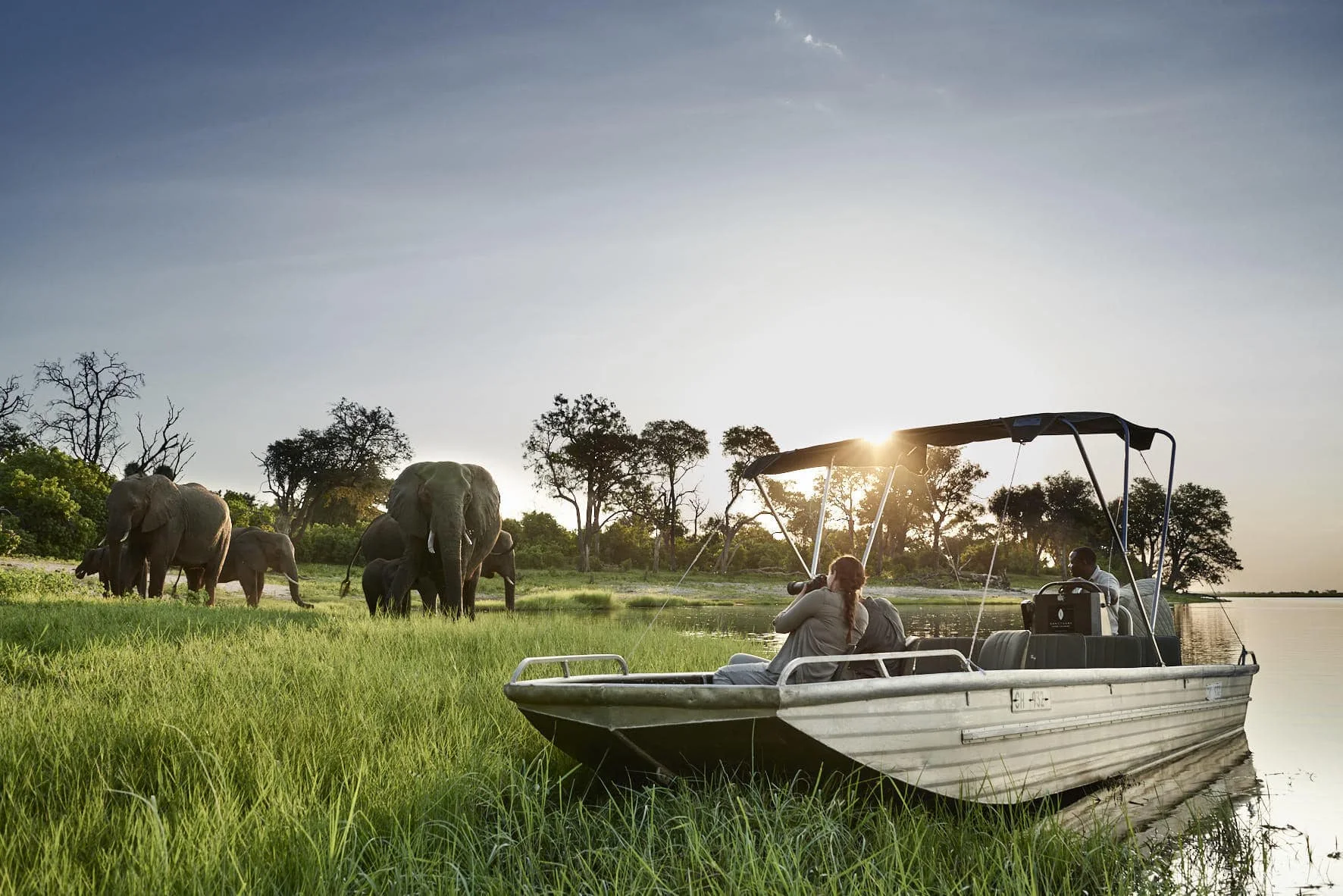 Timeless Africa Safaris image