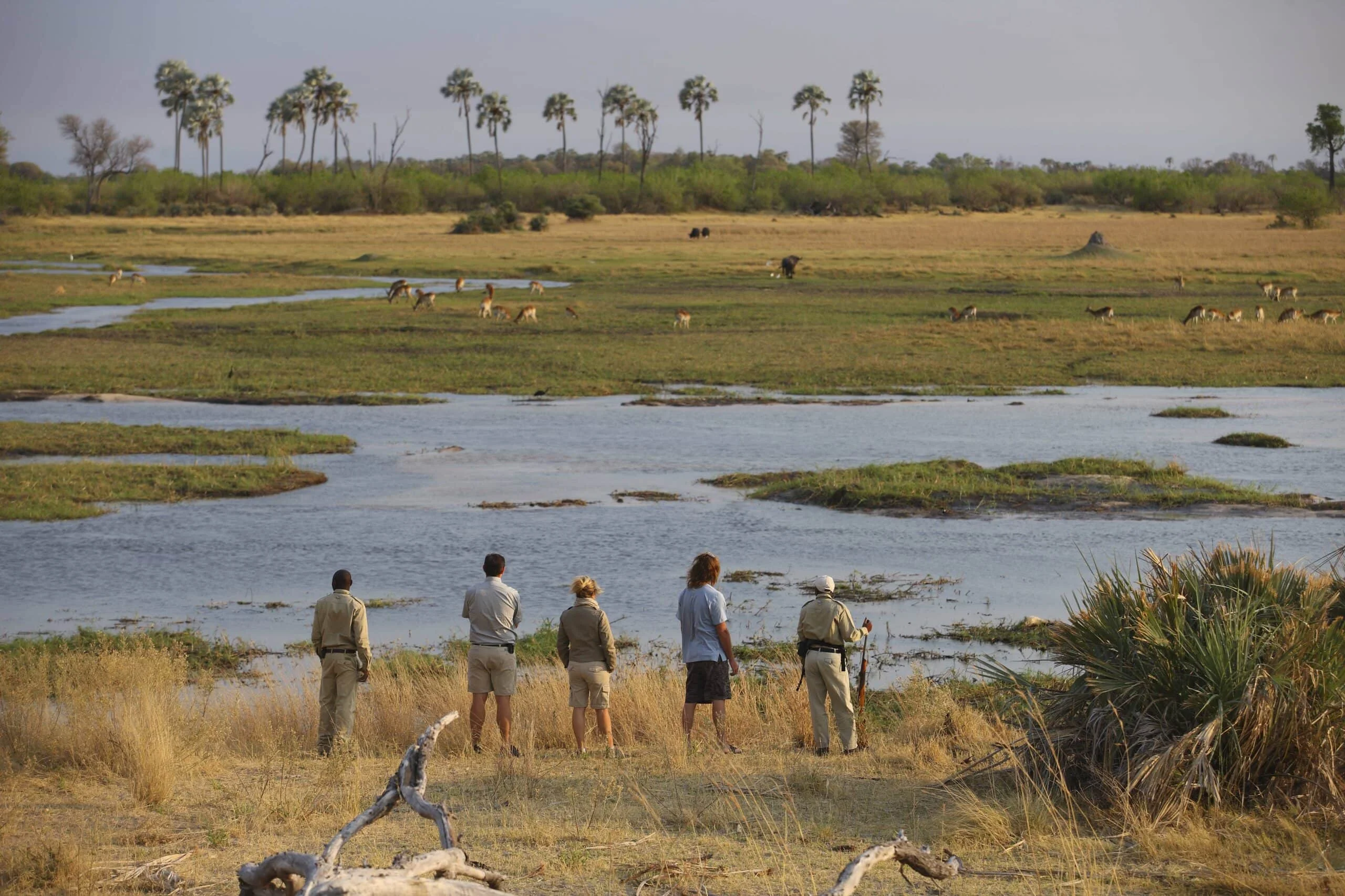 Timeless Africa Safaris image