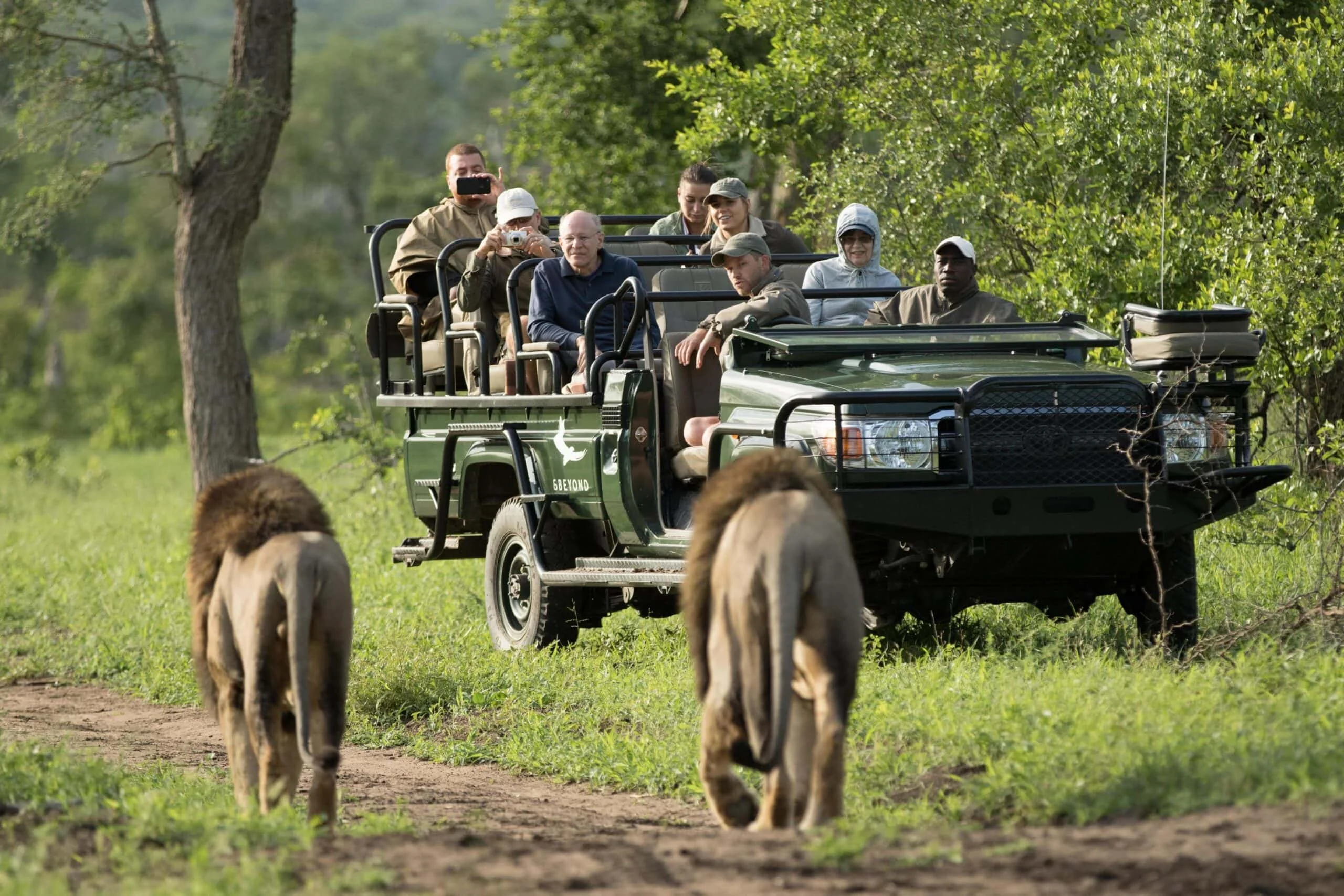 Timeless Africa Safaris image