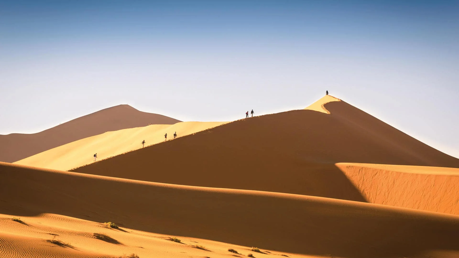 Timeless Africa Safaris image