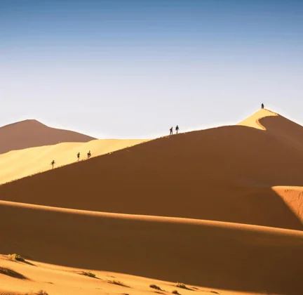 Timeless Africa Safaris image