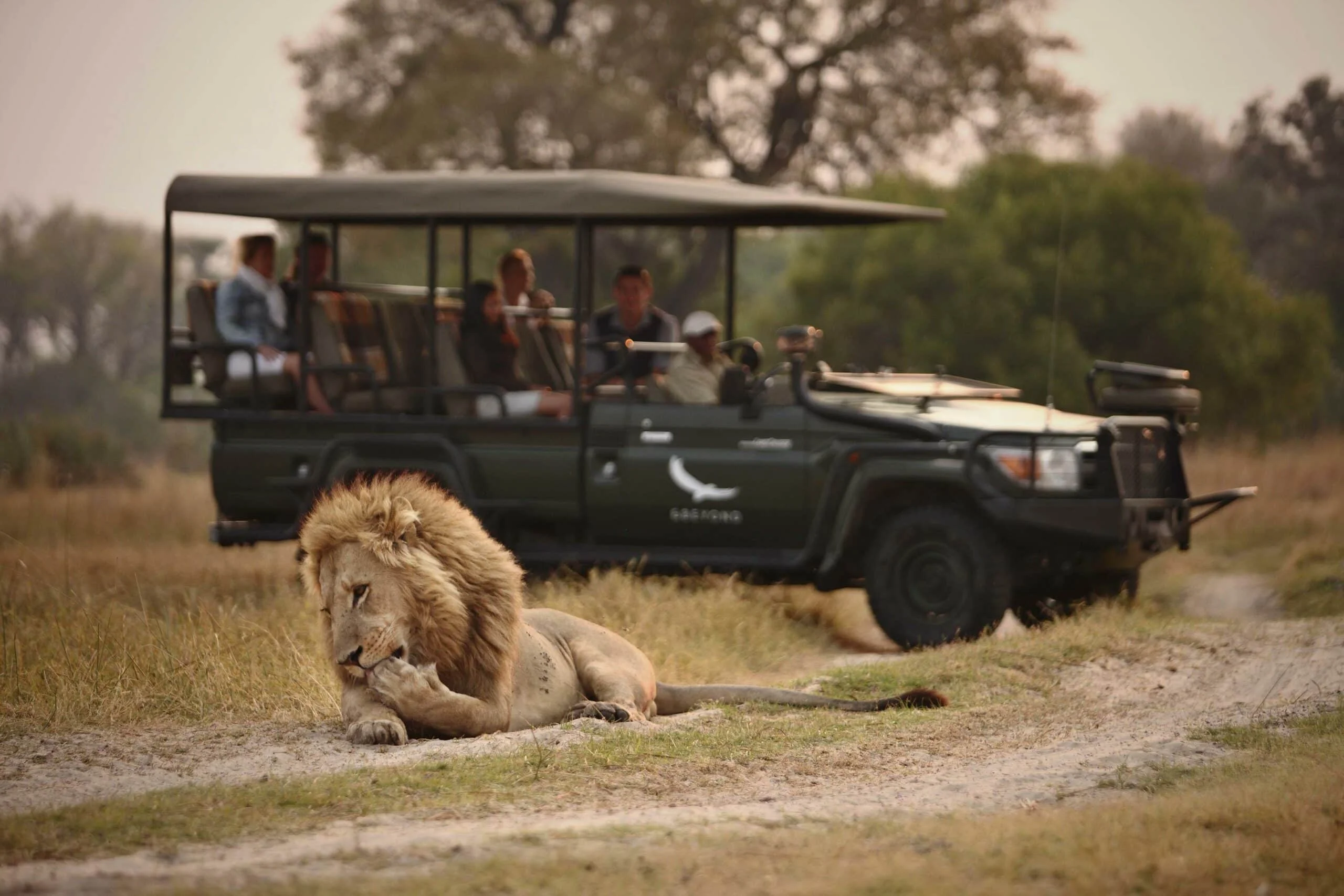 Timeless Africa Safaris image