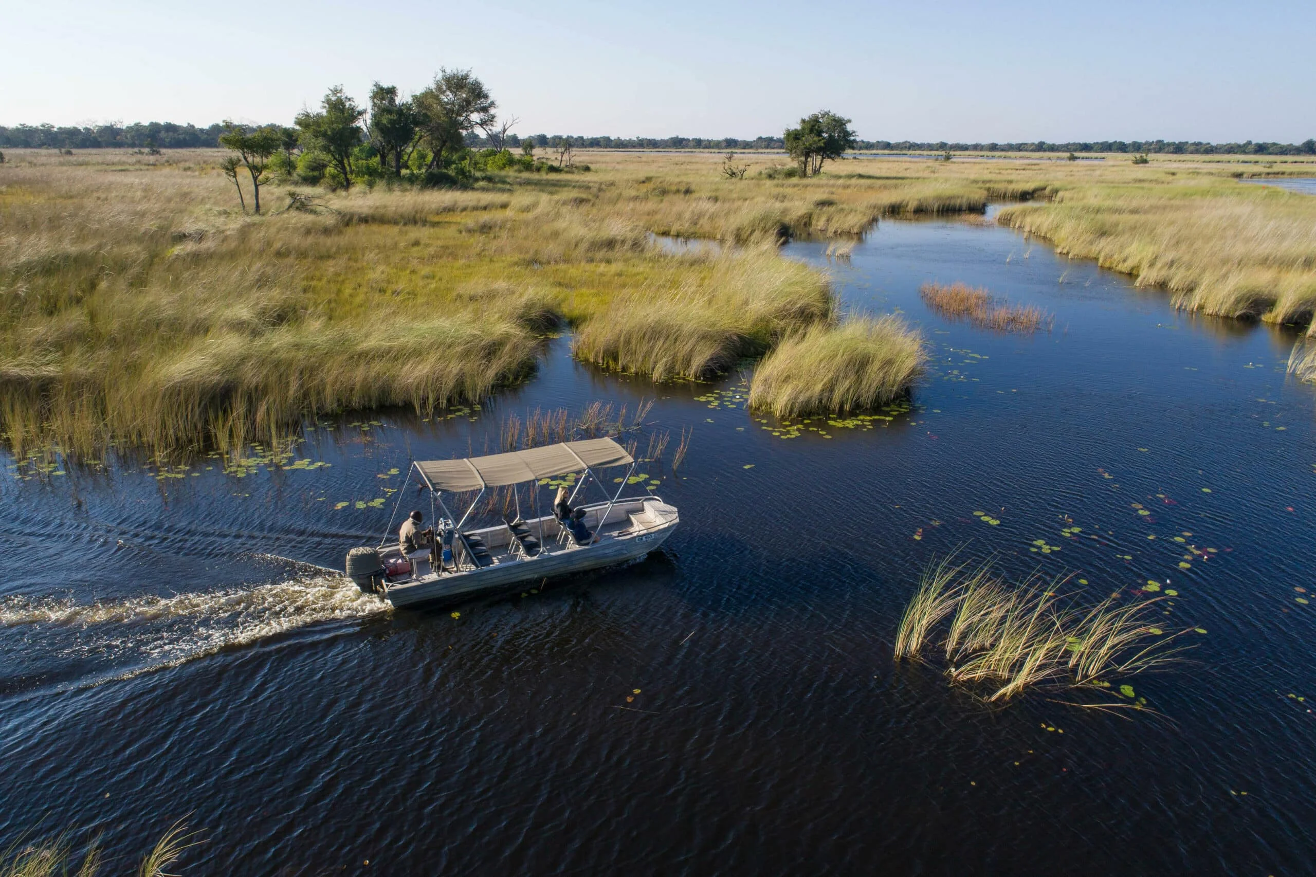 Timeless Africa Safaris image