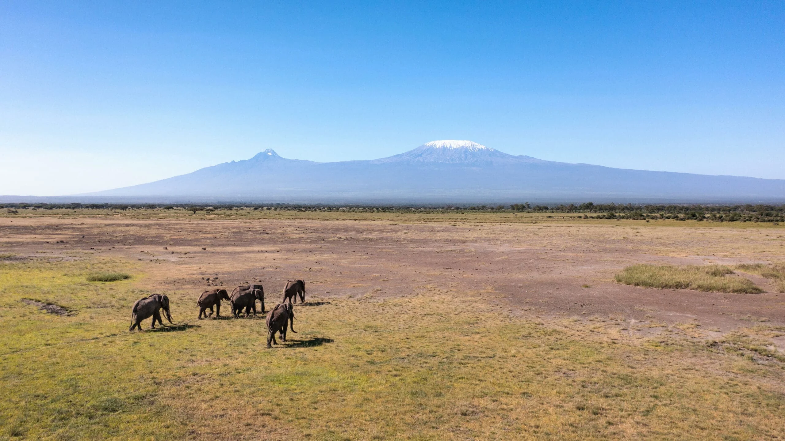 Timeless Africa Safaris image