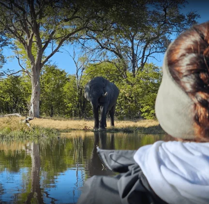 Timeless Africa Safaris image