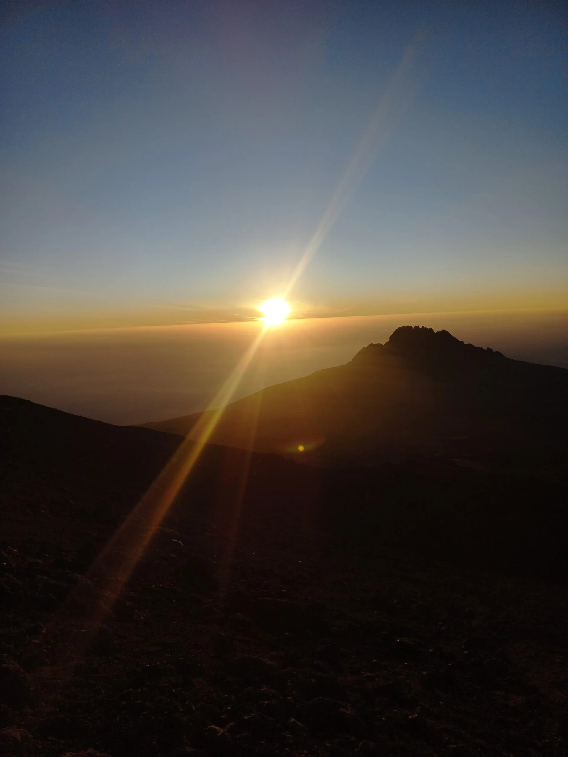 Timeless Africa Safaris image