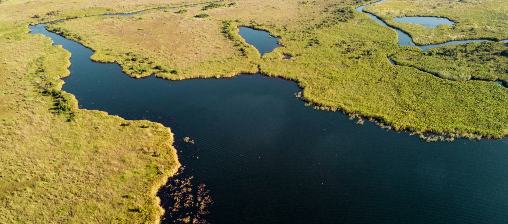 Timeless Africa Safaris image