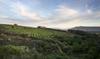 Backsberg Estate Cellars